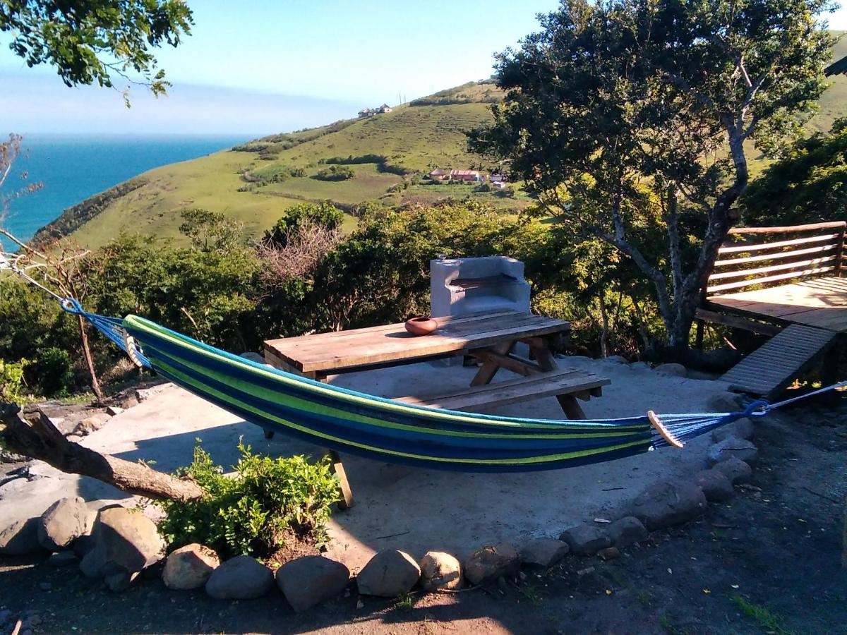 Wildview Self Catering Cottages Coffee Bay, Breakfast & Wi-Fi Inc Екстериор снимка